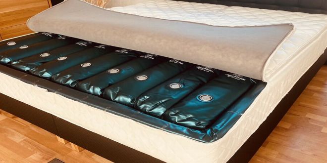 Gelbett Hasena Oak Wild Bormio 18 Naturo L Cobo